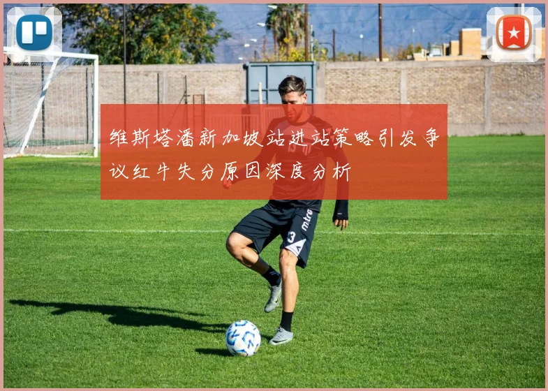 维斯塔潘新加坡站进站策略引发争议红牛失分原因深度分析